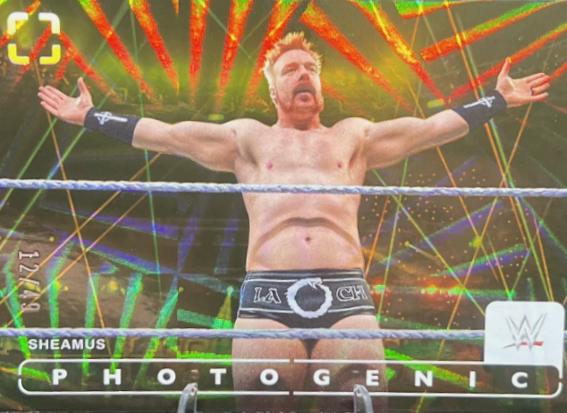 Sheamus [Wedges] #4