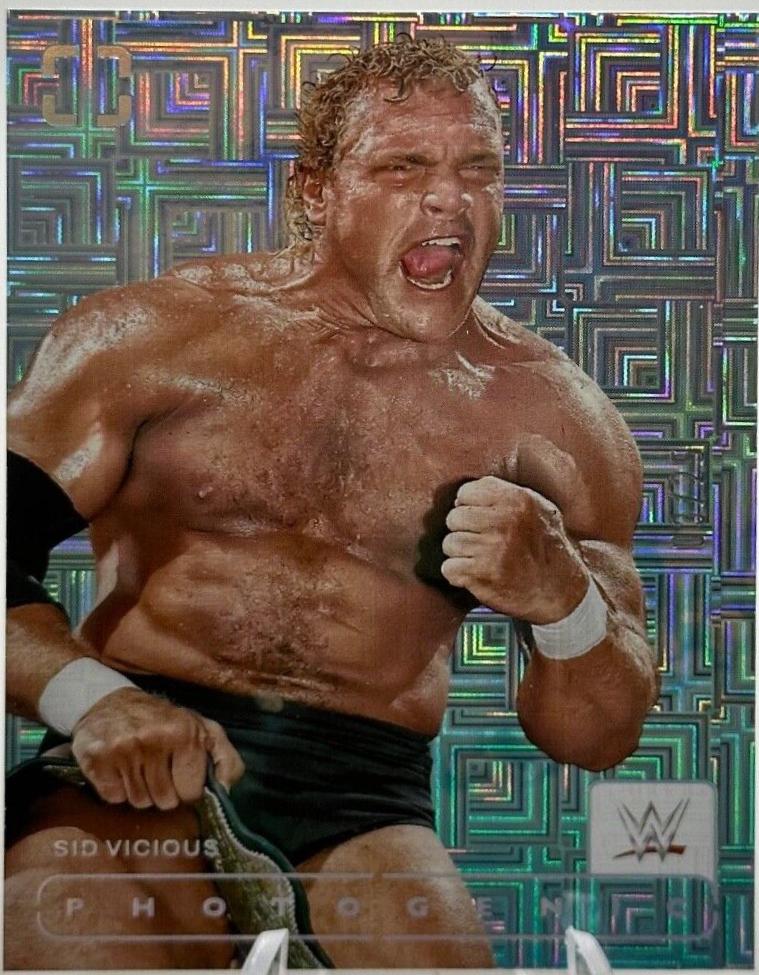 Sid Vicious [Maze] #184