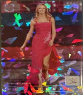 Stacy Keibler [Diamond] #174