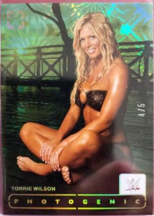 Torrie Wilson [Fireworks] #114