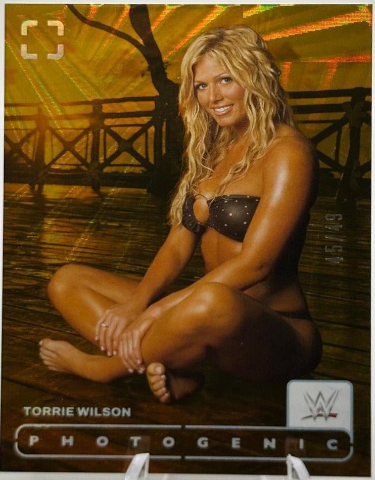 Torrie Wilson [Wedges] #114