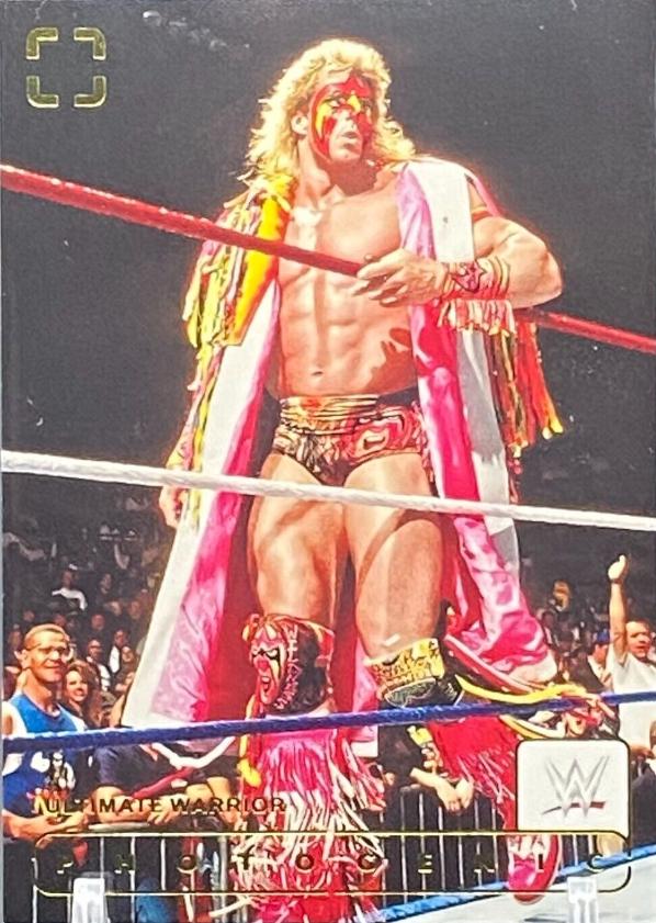Ultimate Warrior #121