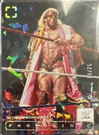 Ultimate Warrior [Diamond] #121