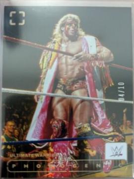 Ultimate Warrior [Gold] #121