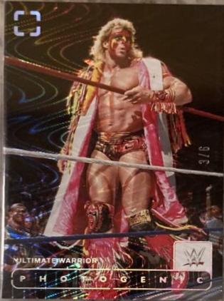 Ultimate Warrior [Swirl FOTL] #121