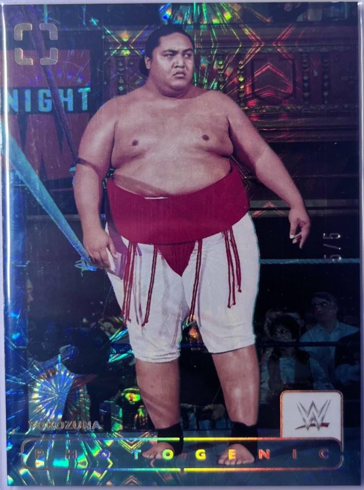 Yokozuna [Fireworks] #200