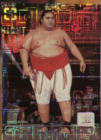 Yokozuna [Maze] #200