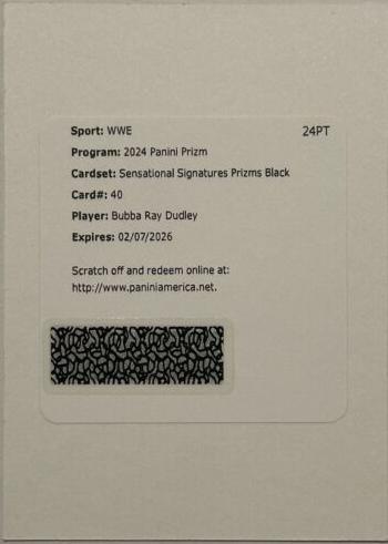 Bubba Ray Dudley [Black] #40