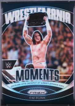 CM Punk [Black] #24