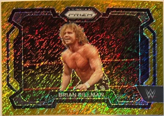 Brian Pillman [Gold Shimmer FOTL] #13