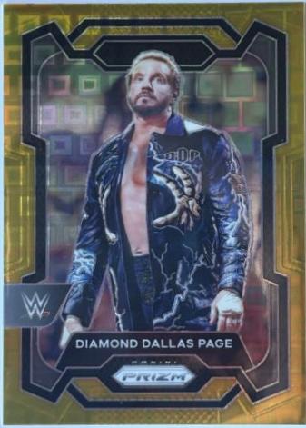 Diamond Dallas Page [Premium Box Set Gold] #152