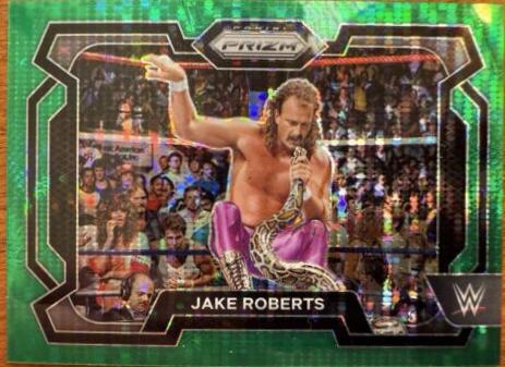 Jake Roberts [Green Pulsar] #87