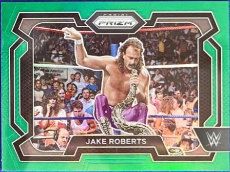 Jake Roberts [Green] #87