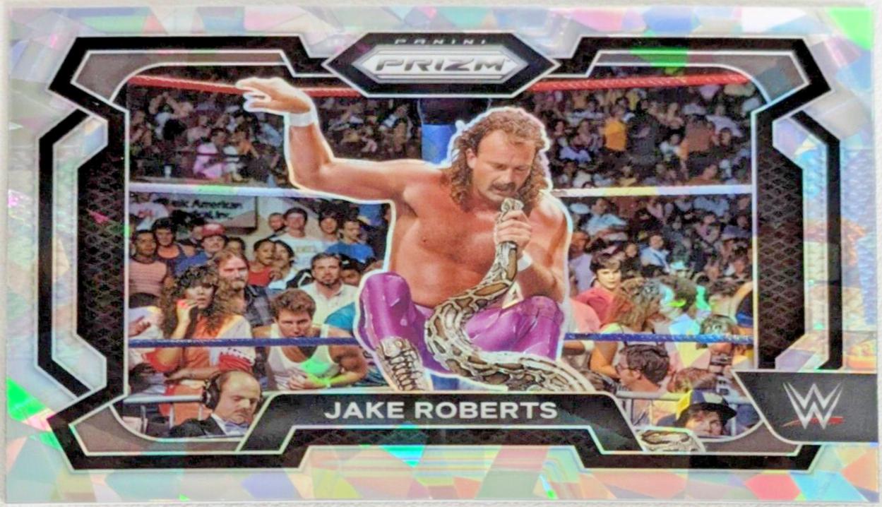 Jake Roberts [Ice] #87