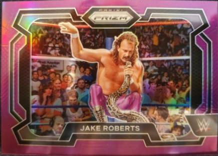 Jake Roberts [Purple] #87