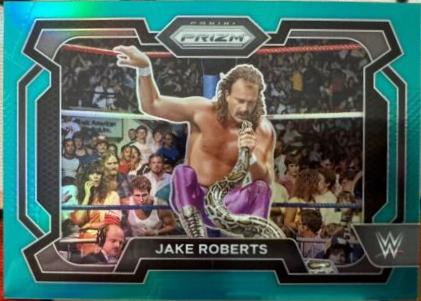 Jake Roberts [Teal] #87