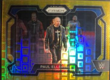 Paul Ellering [Gold Shimmer FOTL] #95