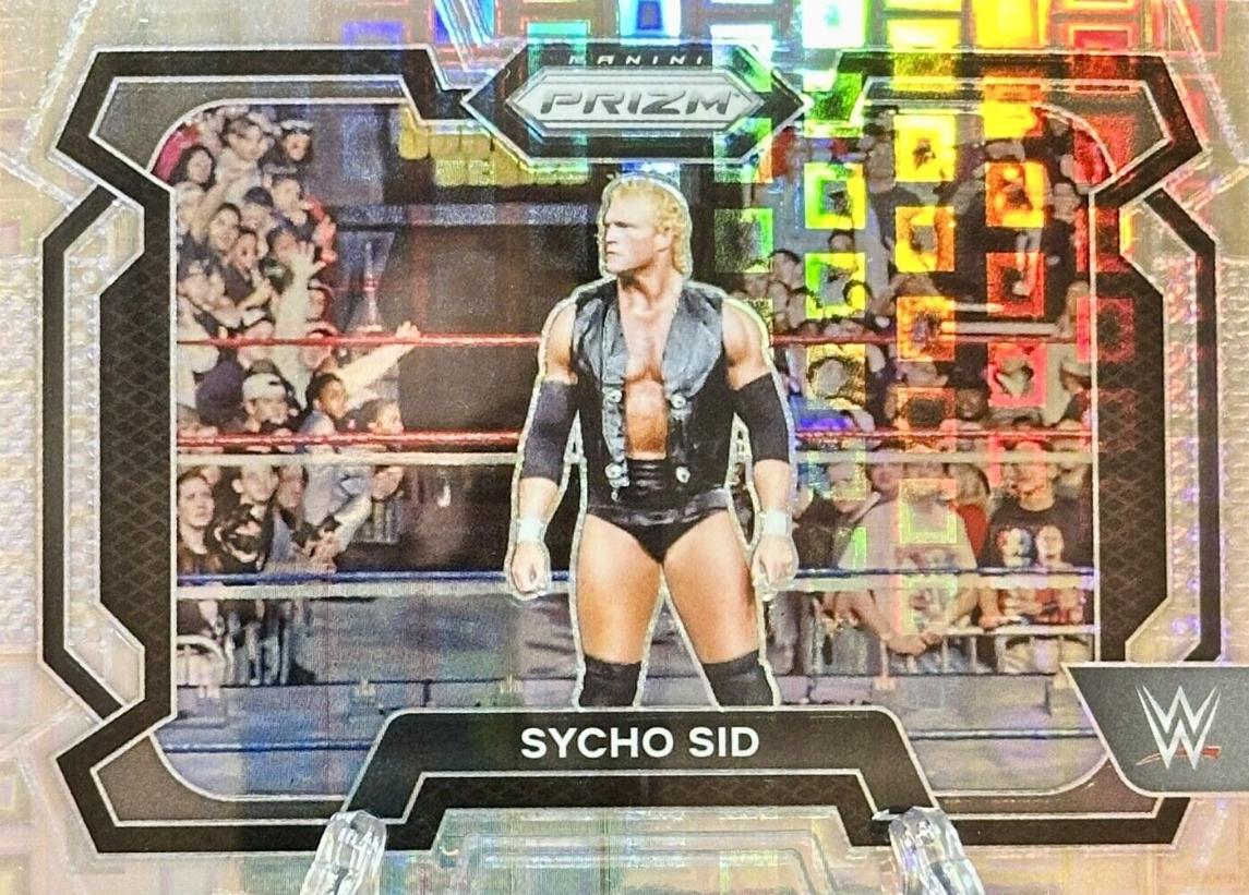 Sycho Sid [Premium Box Set] #59