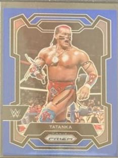 Tatanka [Blue] #173