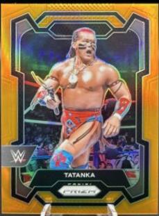 Tatanka [Orange] #173