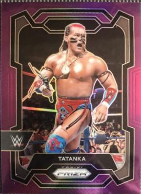 Tatanka [Purple] #173