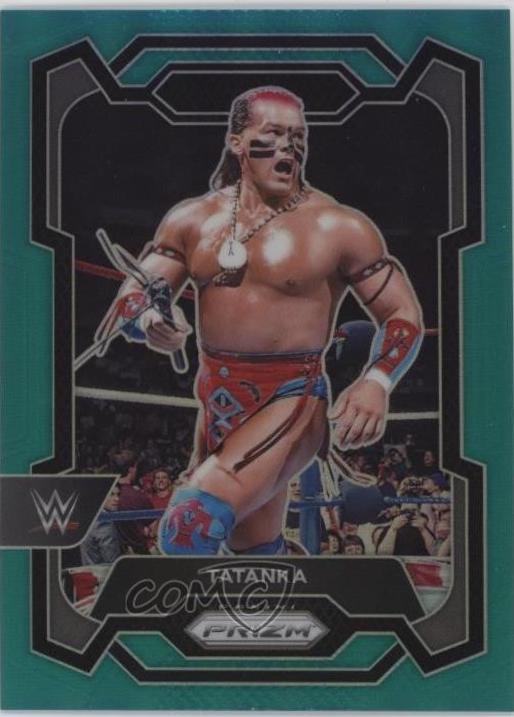 Tatanka [Teal] #173