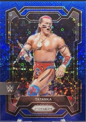 Tatanka [Under Card Blue] #173
