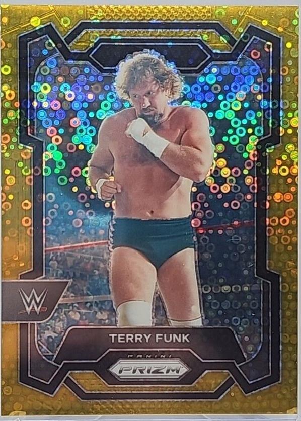 Terry Funk [Gold] #163