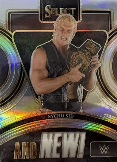 Sycho Sid #18