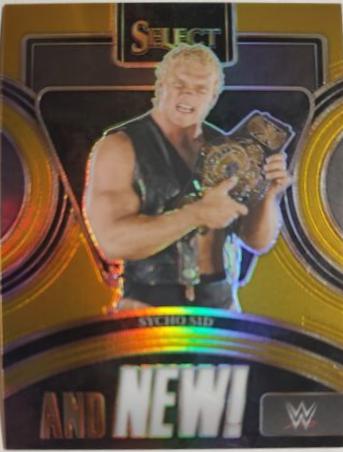 Sycho Sid [Gold Prizm] #18