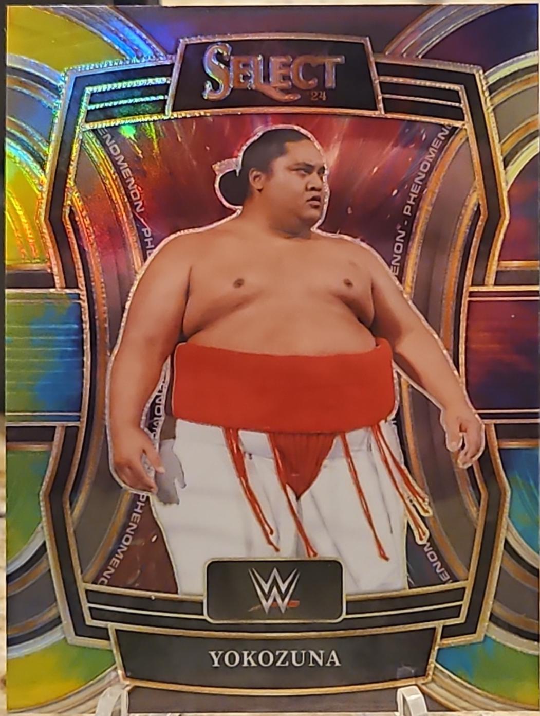 Yokozuna [Tie-Dye Prizm] #28