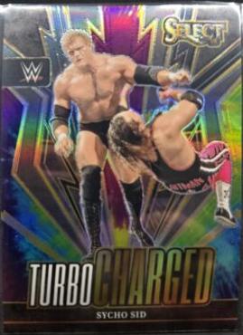 Sycho Sid [Tie-Dye Prizm] #14