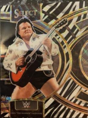 Greg The Hammer Valentine [Zebra Prizm] #139