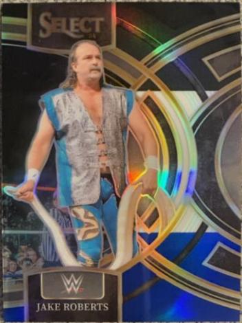 Jake Roberts [Black Blue Prizm] #199