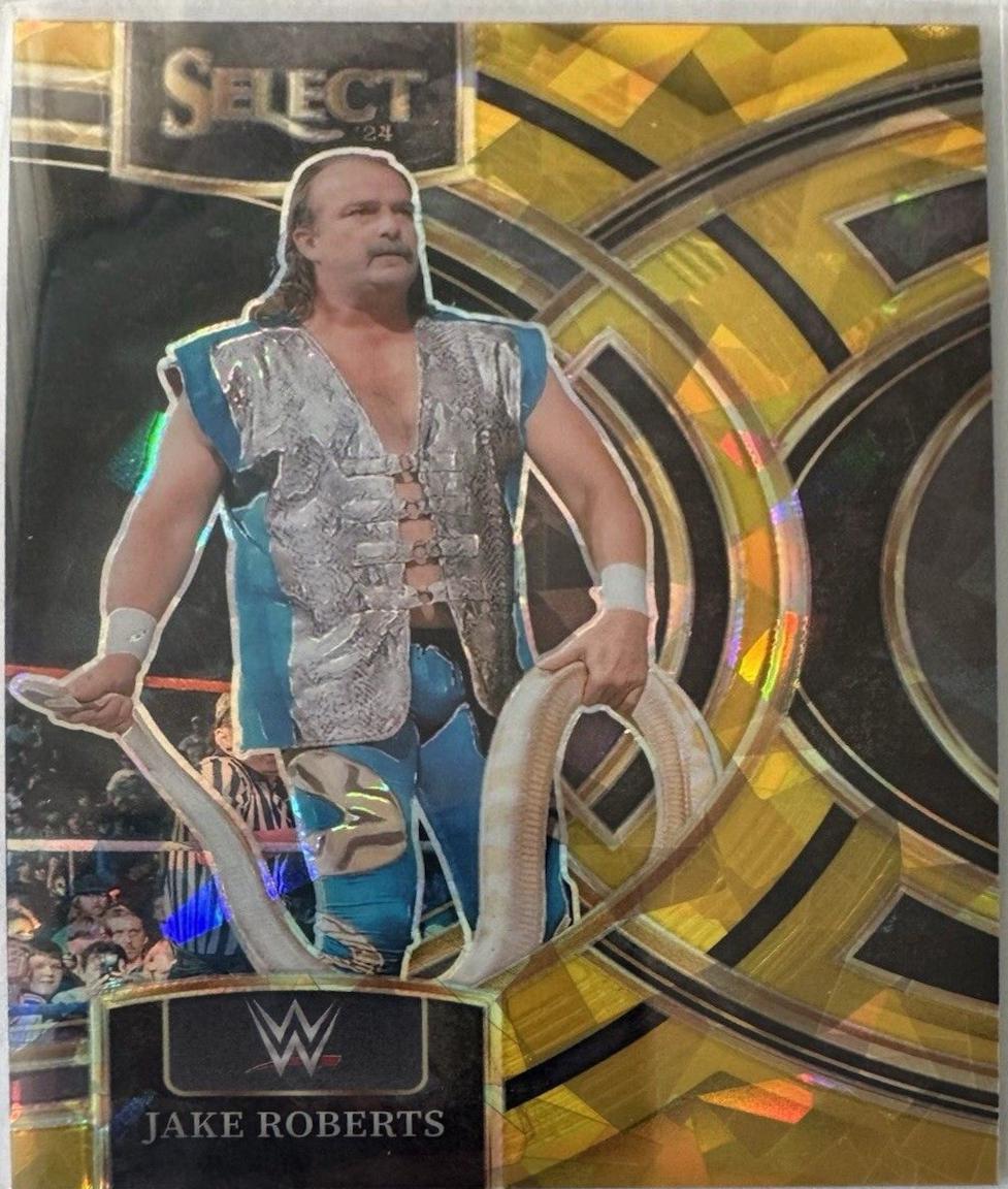 Jake Roberts [Ice Gold Prizm] #199