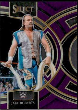 Jake Roberts [Purple Prizm] #199