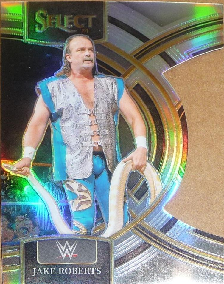 Jake Roberts [Silver Prizm Die-Cut] #199