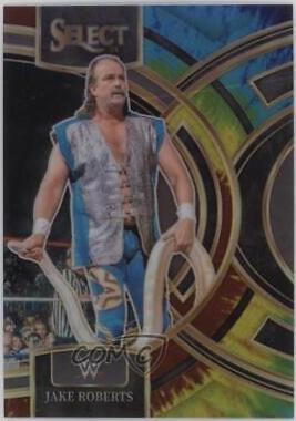 Jake Roberts [Tie-Dye Prizm] #199