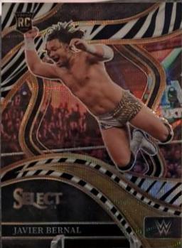 Javier Bernal [Zebra Prizm] #246
