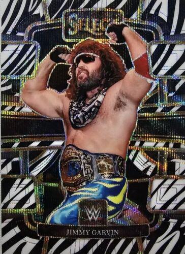 Jimmy Garvin [Zebra Prizm] #13