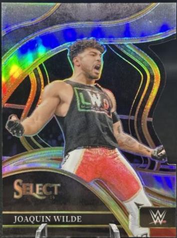 Joaquin Wilde [Silver Prizm Die-Cut] #276