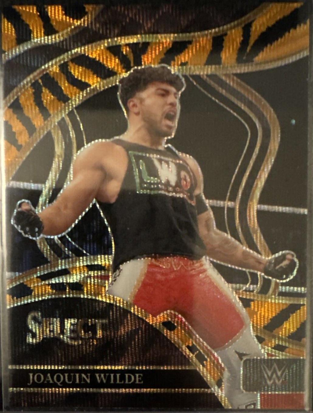 Joaquin Wilde [Tiger Prizm] #276