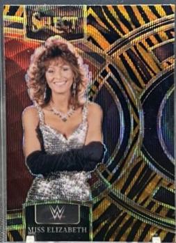 Miss Elizabeth [Tiger Prizm] #177