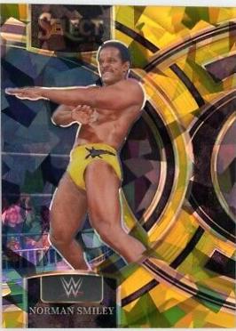 Norman Smiley [Ice Gold Prizm] #152