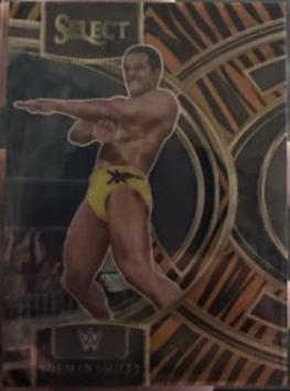 Norman Smiley [Tiger Prizm] #152