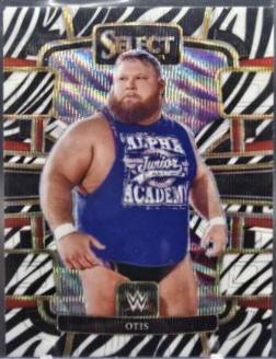 Otis [Zebra Prizm] #12
