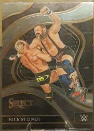 Rick Steiner #211