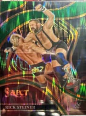 Rick Steiner [Green Flash Prizm] #211