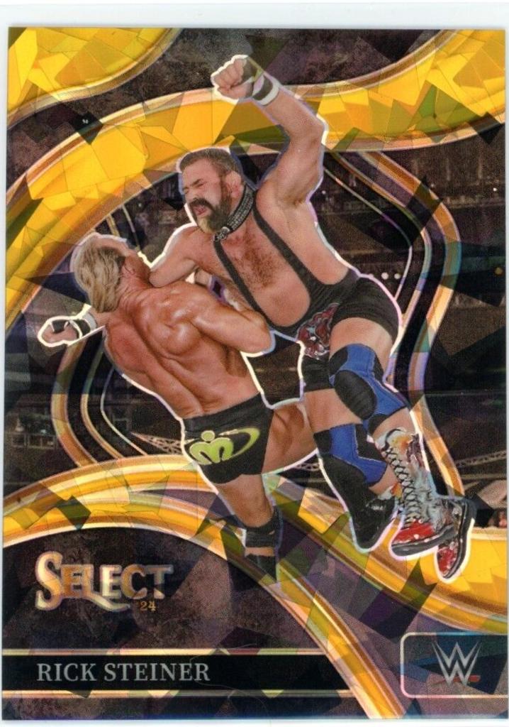 Rick Steiner [Ice Gold Prizm] #211
