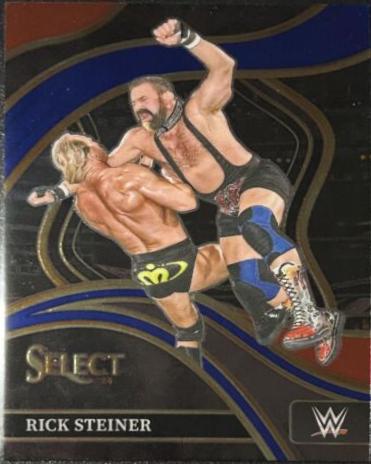 Rick Steiner [Red Blue Retail] #211
